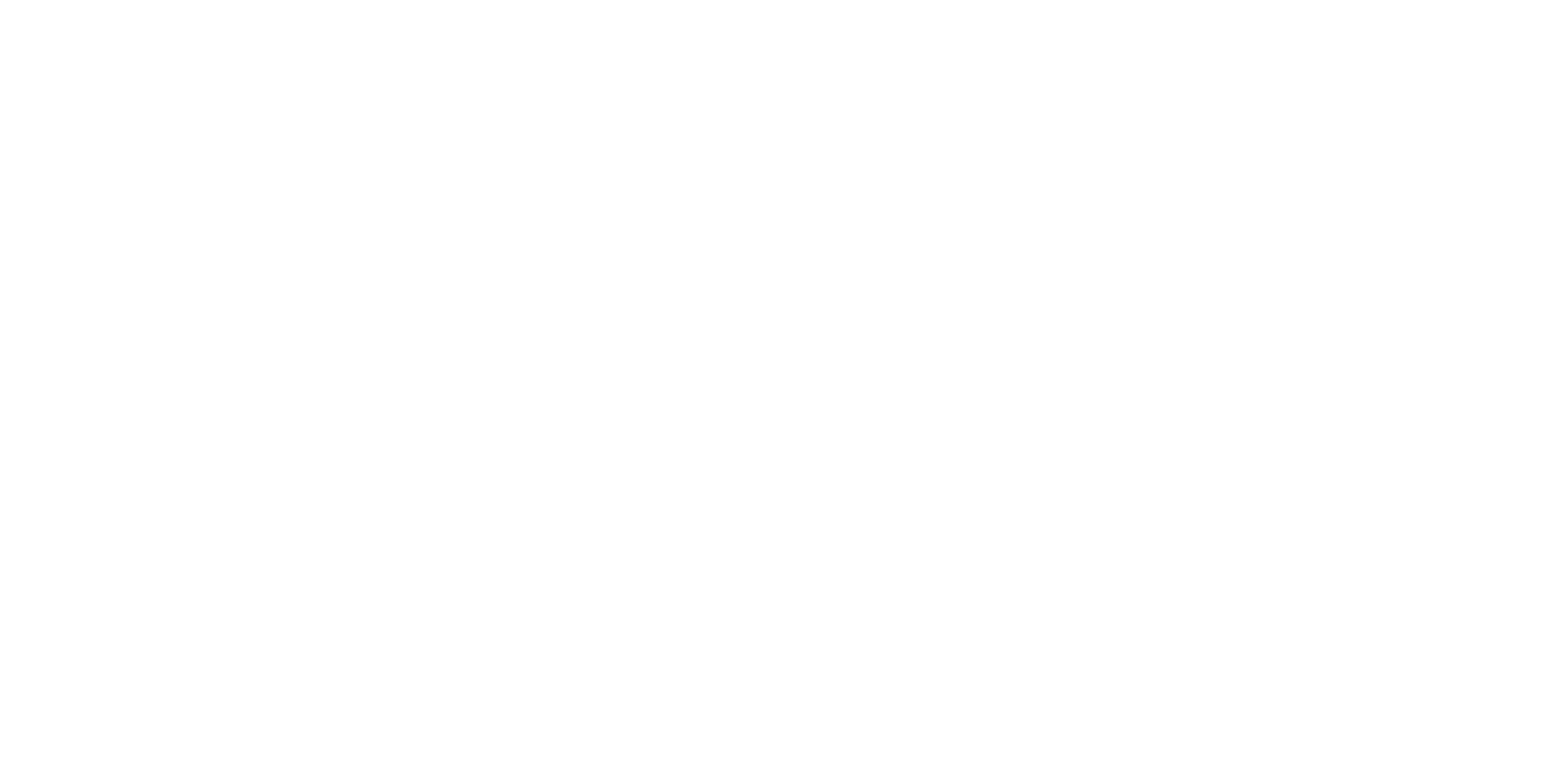 RANI COLLECTIONS 